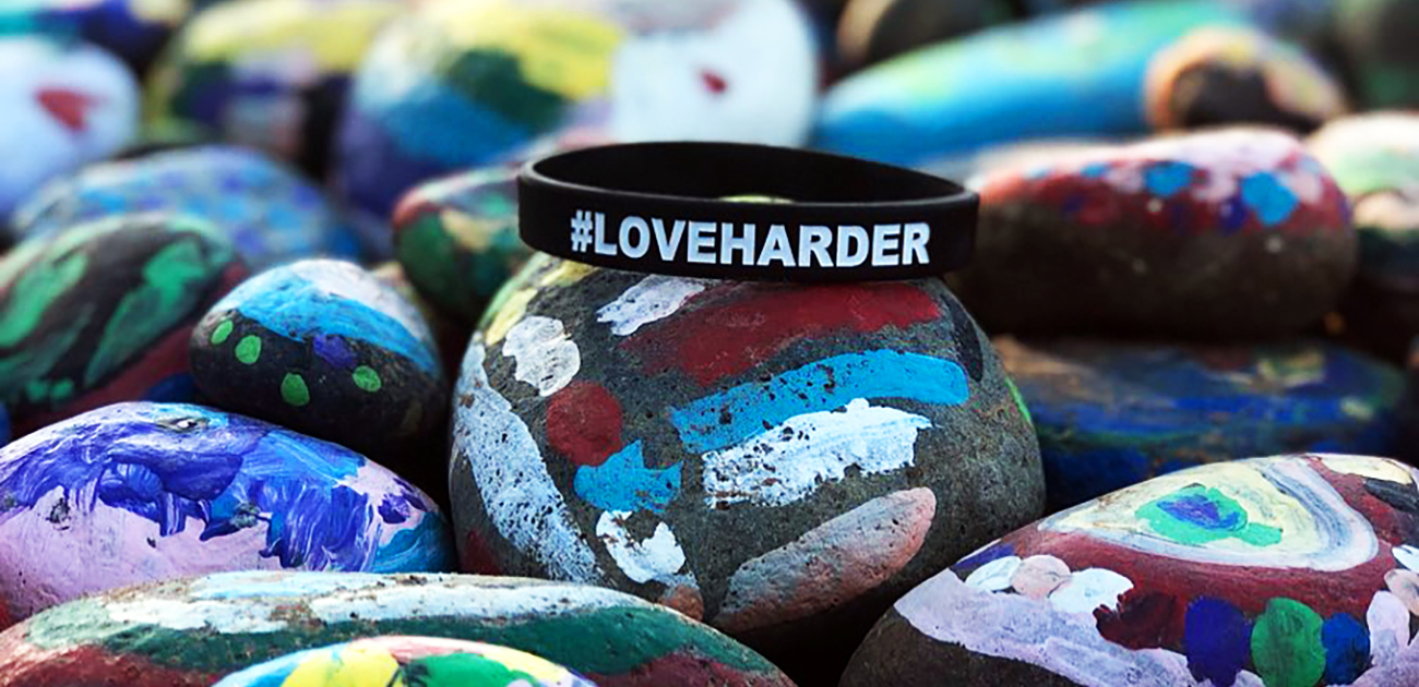 Love Harder Project Logo